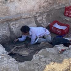 Salima Ikram excavating cattle burials in the Rameses II palace at Abydos